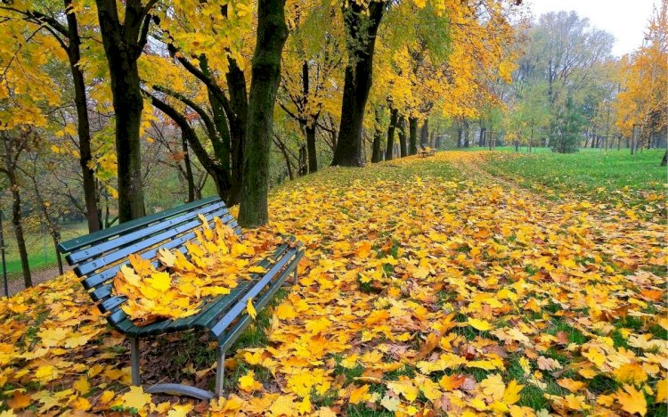 Қазан айында: ЖЕЛДІ КҮНДЕР ЖИІЛЕЙДІ